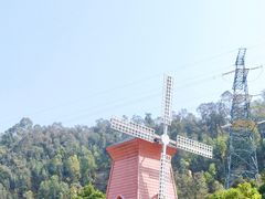 -顺峰山公园