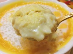 榴莲-甜心妈妈·榴莲星级糖水(北京路总店)