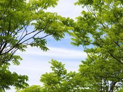 -上海海事大学(临港校区)