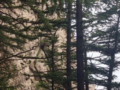 -崂山巨峰游览区