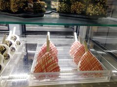 -野人先生现做冰淇淋(西安赛格店)