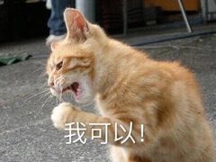 -点点心点心专门店(旺角店)