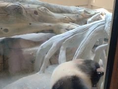 -宁波野生动物园