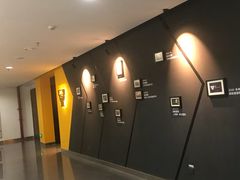 -SUPERMONKEY超级猩猩健身