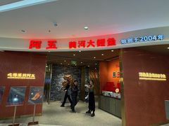 -阿五黄河大鲤鱼(海尚店)