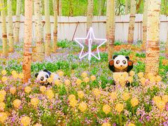 -枫花园汽车电影院(朝阳公园店)