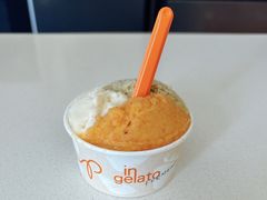 -Dip in Gelato(富民路店)