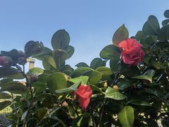 -天目湖涵田半山温泉