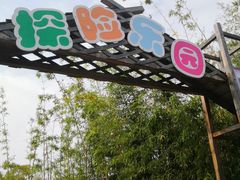 -上海长兴岛郊野公园