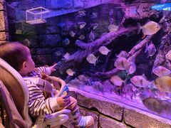 -沈阳海洋探索中心