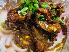 -全乐鱼馆·淳牌有机鱼直营店