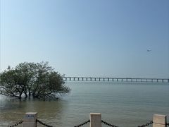 -宝安西湾红树林湿地公园