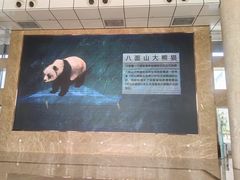 -湖南省地质博物馆