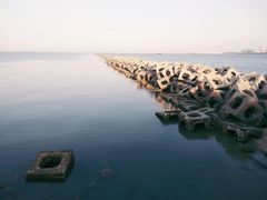 -东疆建设开发纪念公园