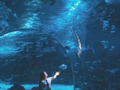 -江和美海洋公园
