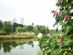 -桂溪生态公园