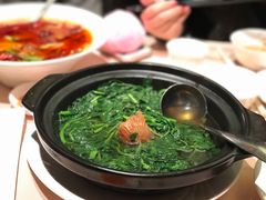 -陶陶居海鲜酒家(新马路店)