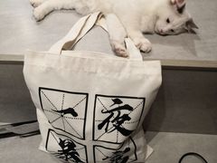 -猫儿山۰猫主题餐厅