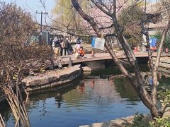 -春风习习