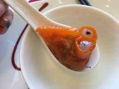 -粤海喜来登酒店·采悦轩中餐厅(天河城店)