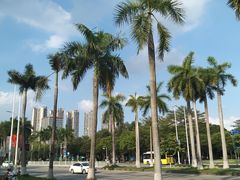 -增城图书馆(荔景大道辅路店)