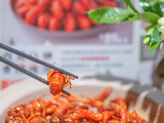 -巴蜀风·地道川菜(总店)