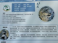 -青藏高原野生动物园