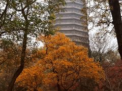 -玲珑塔公园