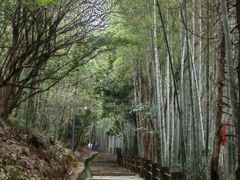 -敬亭山风景名胜区