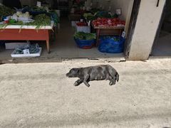 -葑门横街
