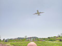 -空港花田景区