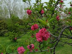 -蜀冈西峰生态公园