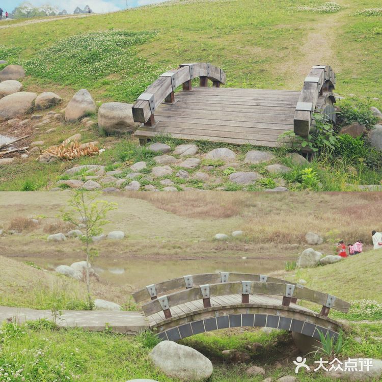 误入成都版森林公园🏠打卡童话小木屋!