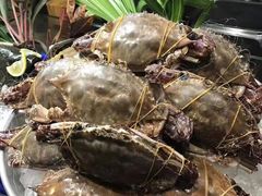 -味餐厅·海鲜·火锅·自助餐