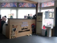 -柴源莊·柴小宠柴犬咖啡