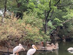 -昆明动物园