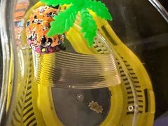 -双季花艺园艺市场(浦东店)