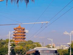 -黄鹤楼公园(黄鹤楼)