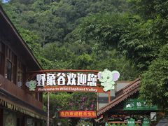 -野象谷景区