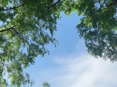 -自然谷恐龙园