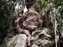 -磐安十八涡风景区