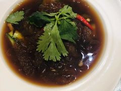 -石家庄万象天成假日酒店