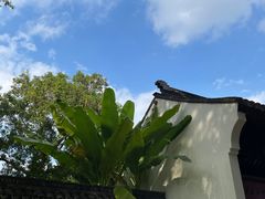 -上海醉白池公园