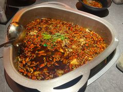 -味之绝·美蛙鱼头火锅(科巷店)