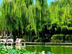 -美豪丽致酒店(西安高新区南二环丰庆公园地铁站店)