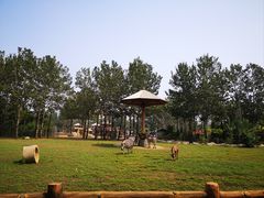 -大连森林动物园