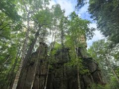 -五营红松林海景区