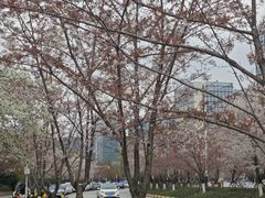 -地中海传奇水汇