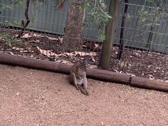 -费瑟代尔野生动物园