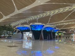 -广州白云国际机场-T2航站楼